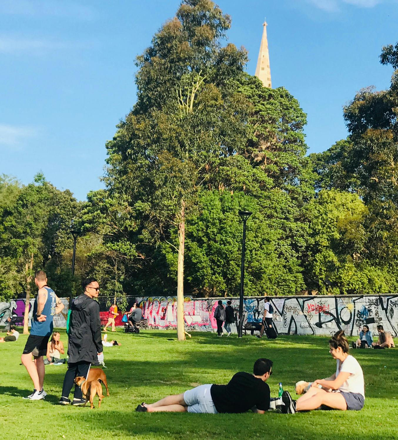 Improving Safety At Camperdown Memorial Rest Park And Fleming Playground Newtown Your Say Inner West