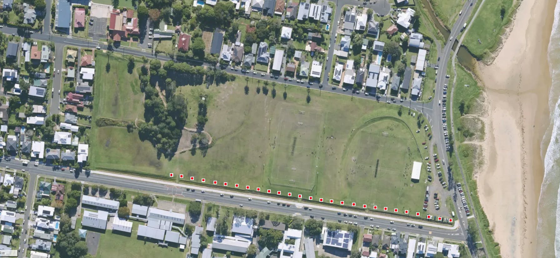 Proposed planting locations of Kauri Pines at Bulli Park.PNG