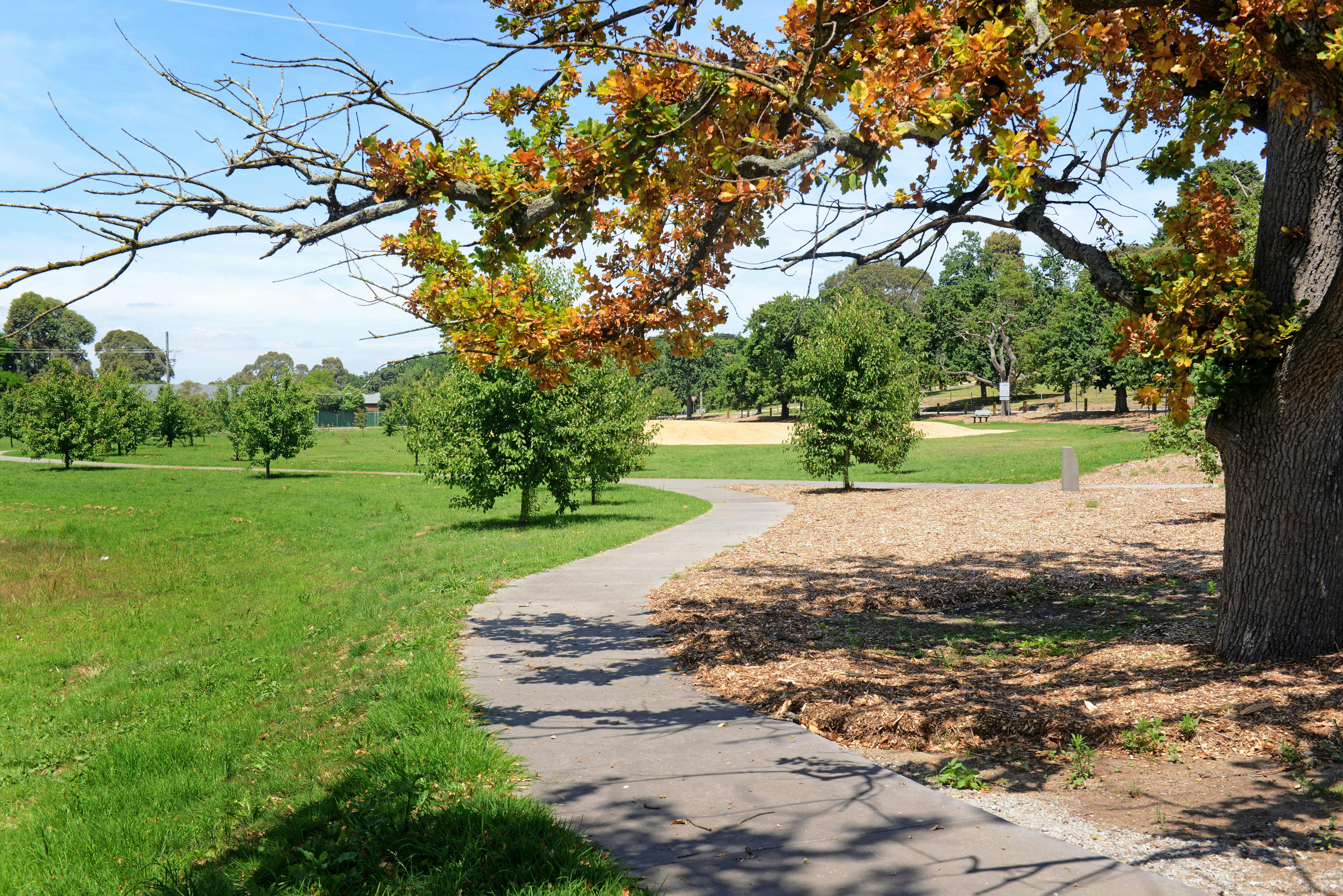 Get Narre For Android