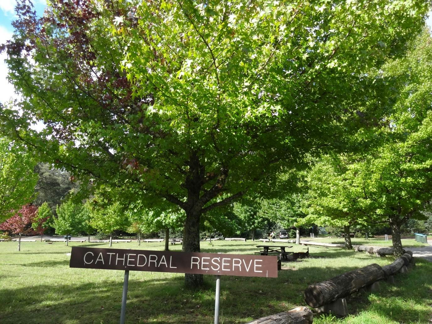 Cathedral of Ferns Campground Reserve.jpg
