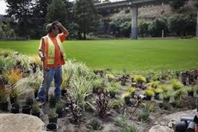 Biofilter Treatment System