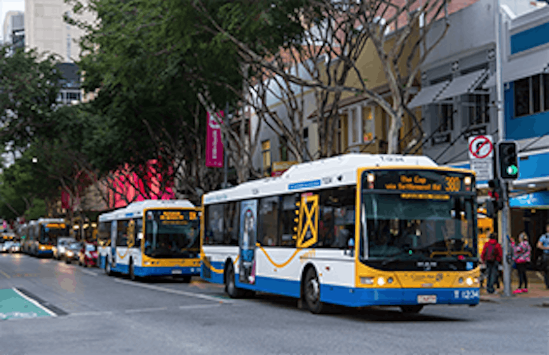 Adelaide Street bus stop survey Screetscape of Adelaide Street with Council buses