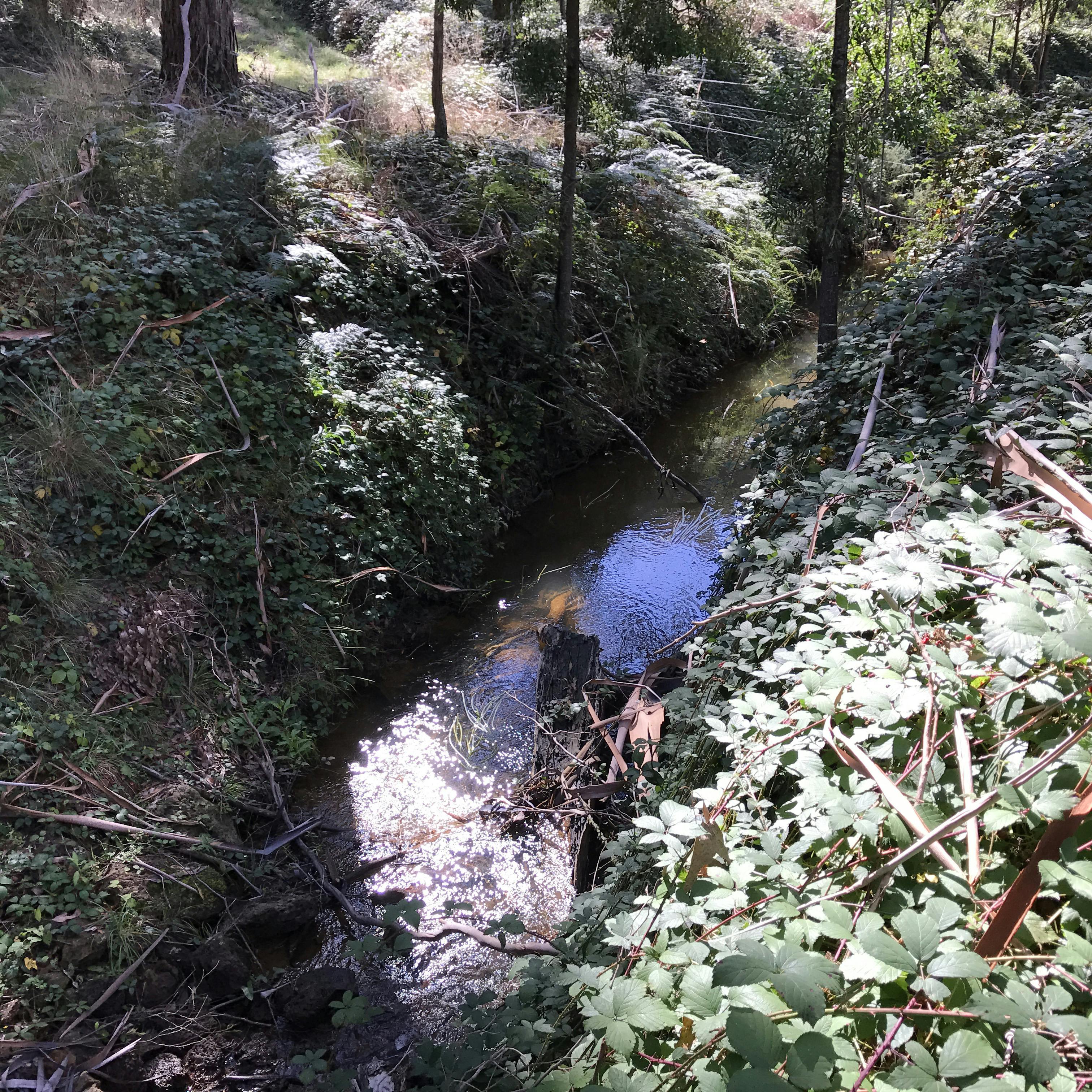Upstream from McDonalds dam