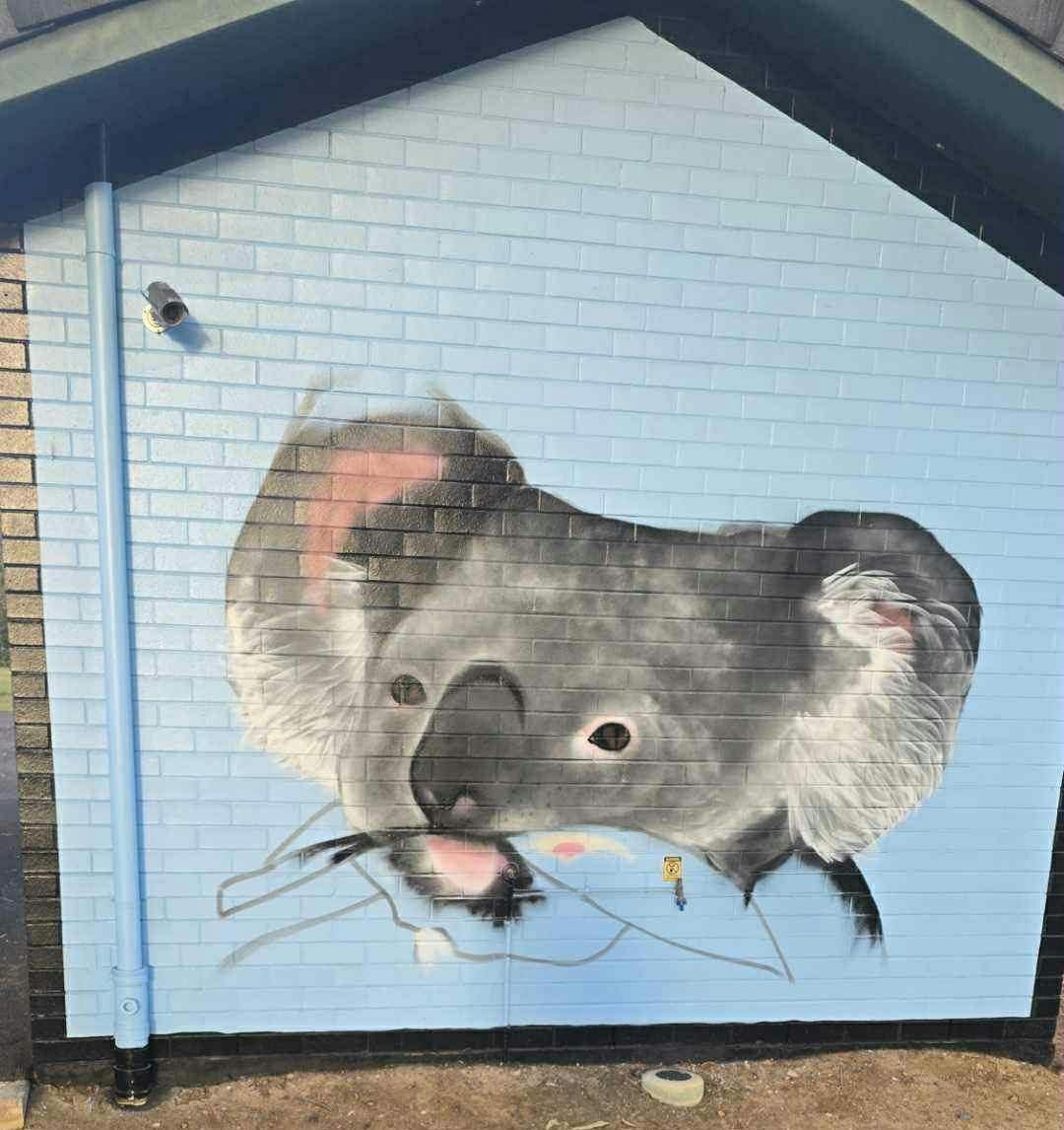 Koala