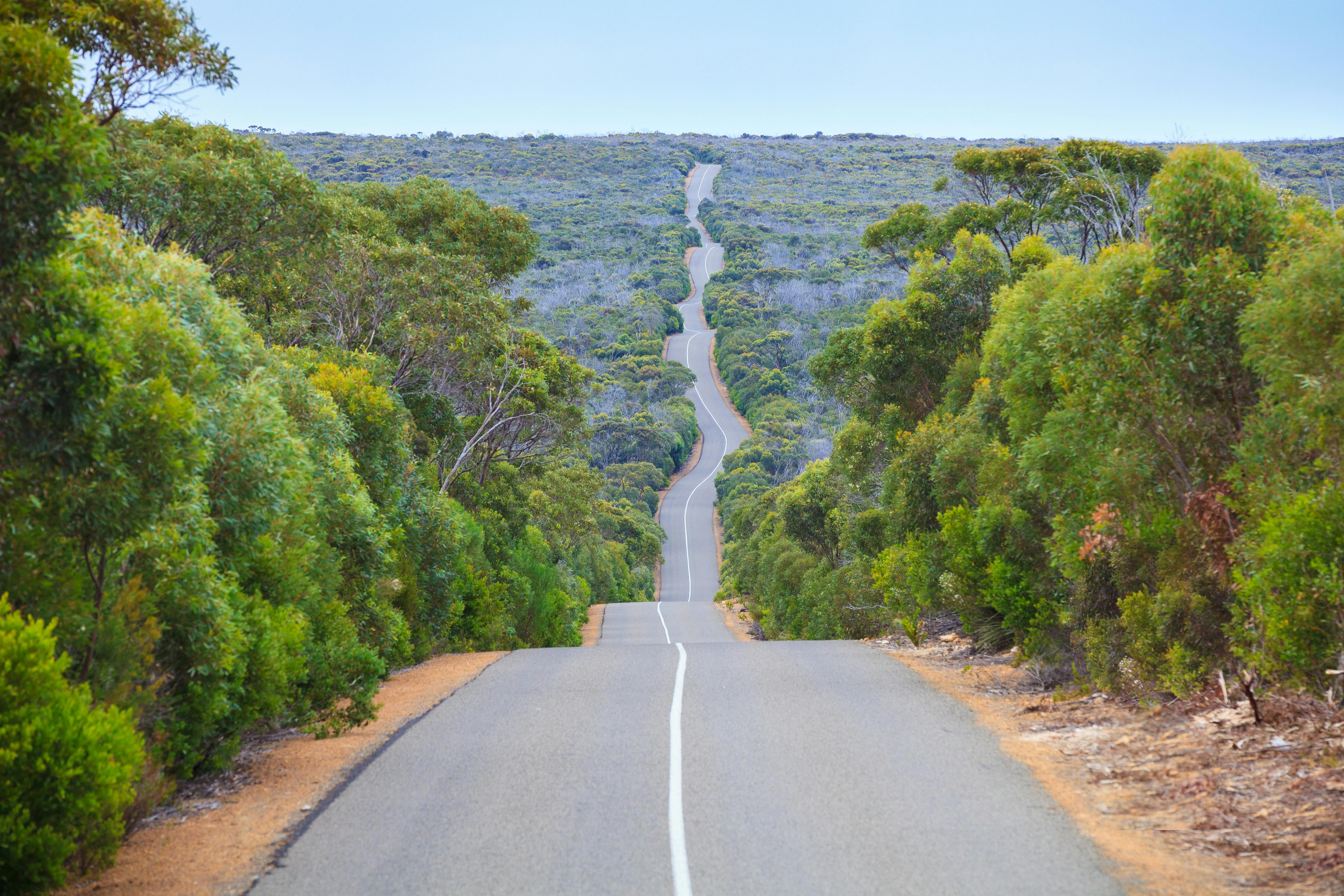 Kangaroo Island road