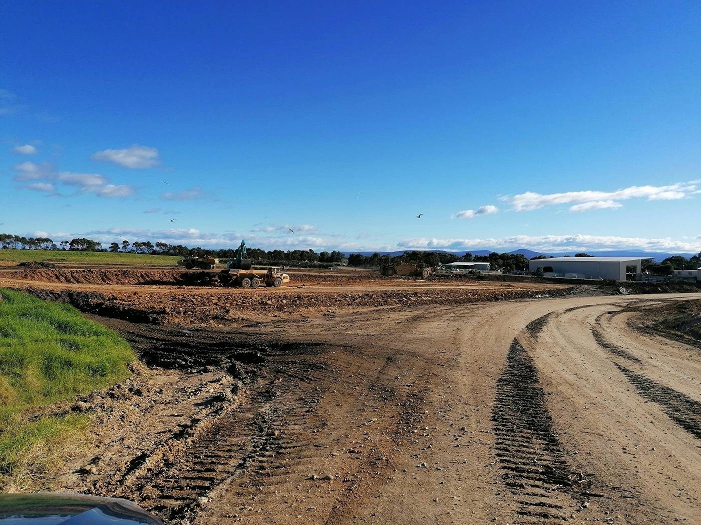 Cell 4 - Exc - 26/05/2021