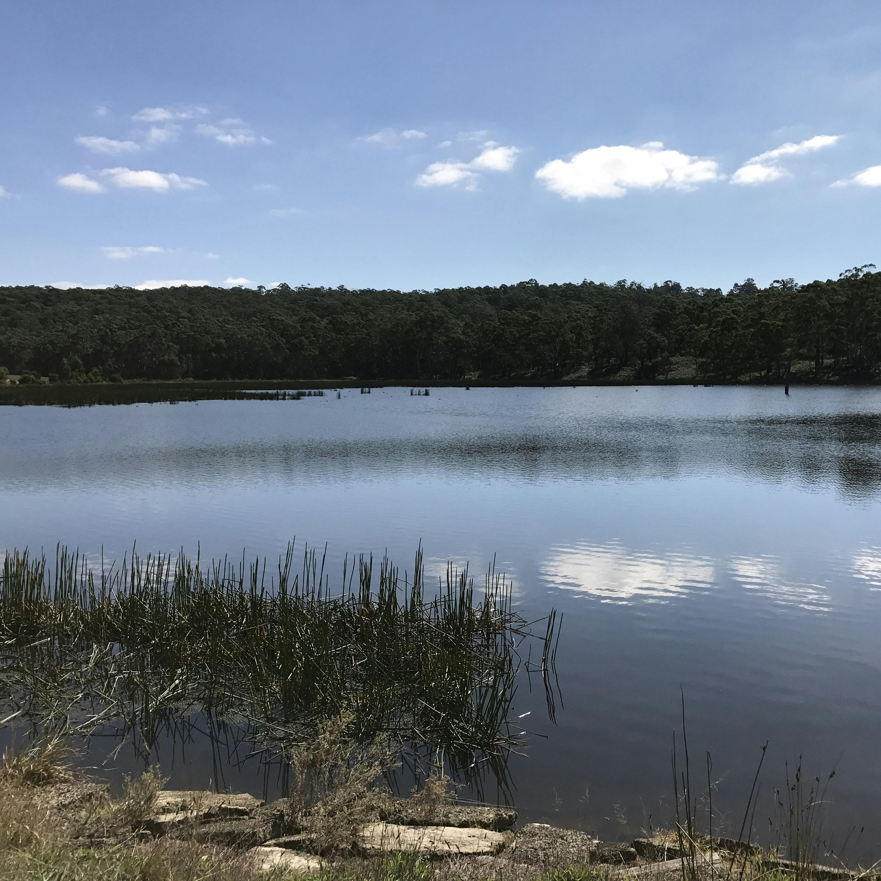 McDonalds dam