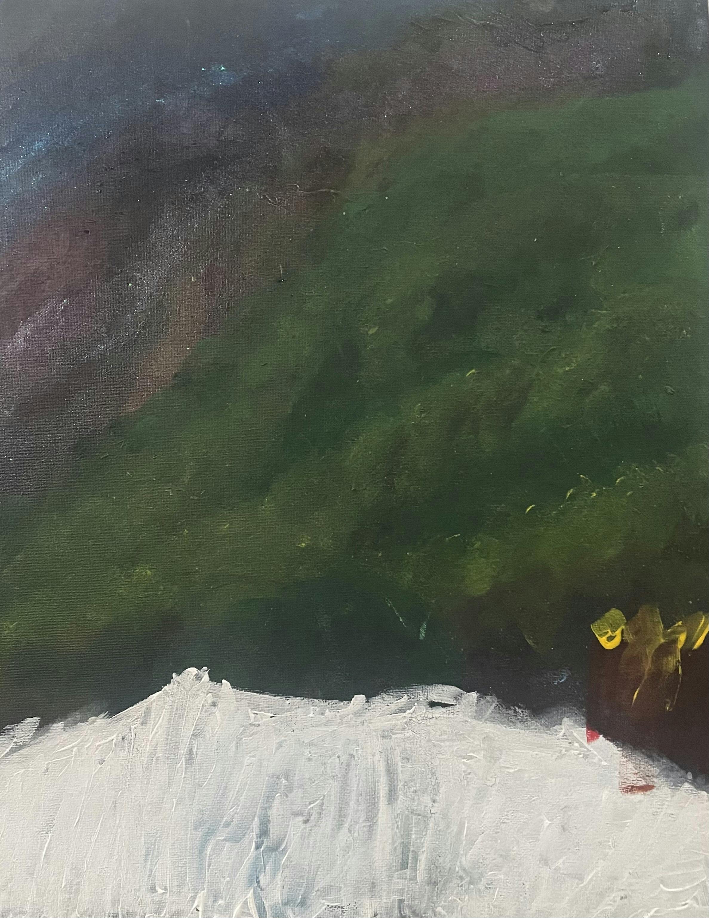 Northern Lights Owen Allison