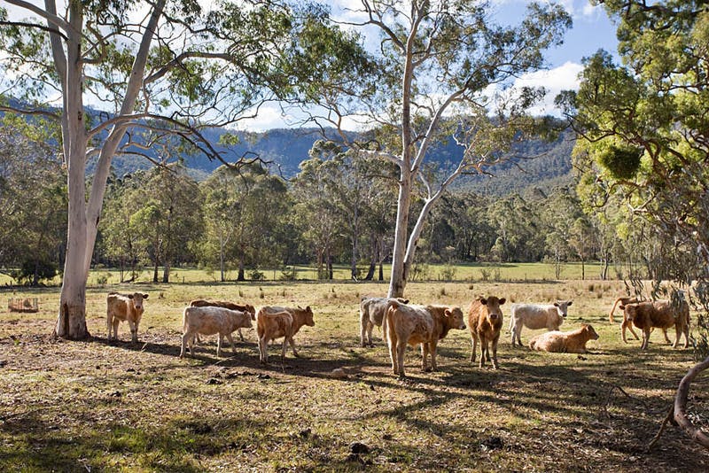 Bmcc Lep2013 052 Web Use