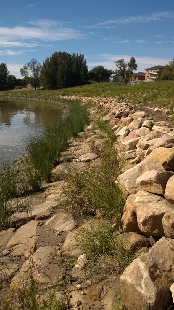 Example of a previous naturalisation project