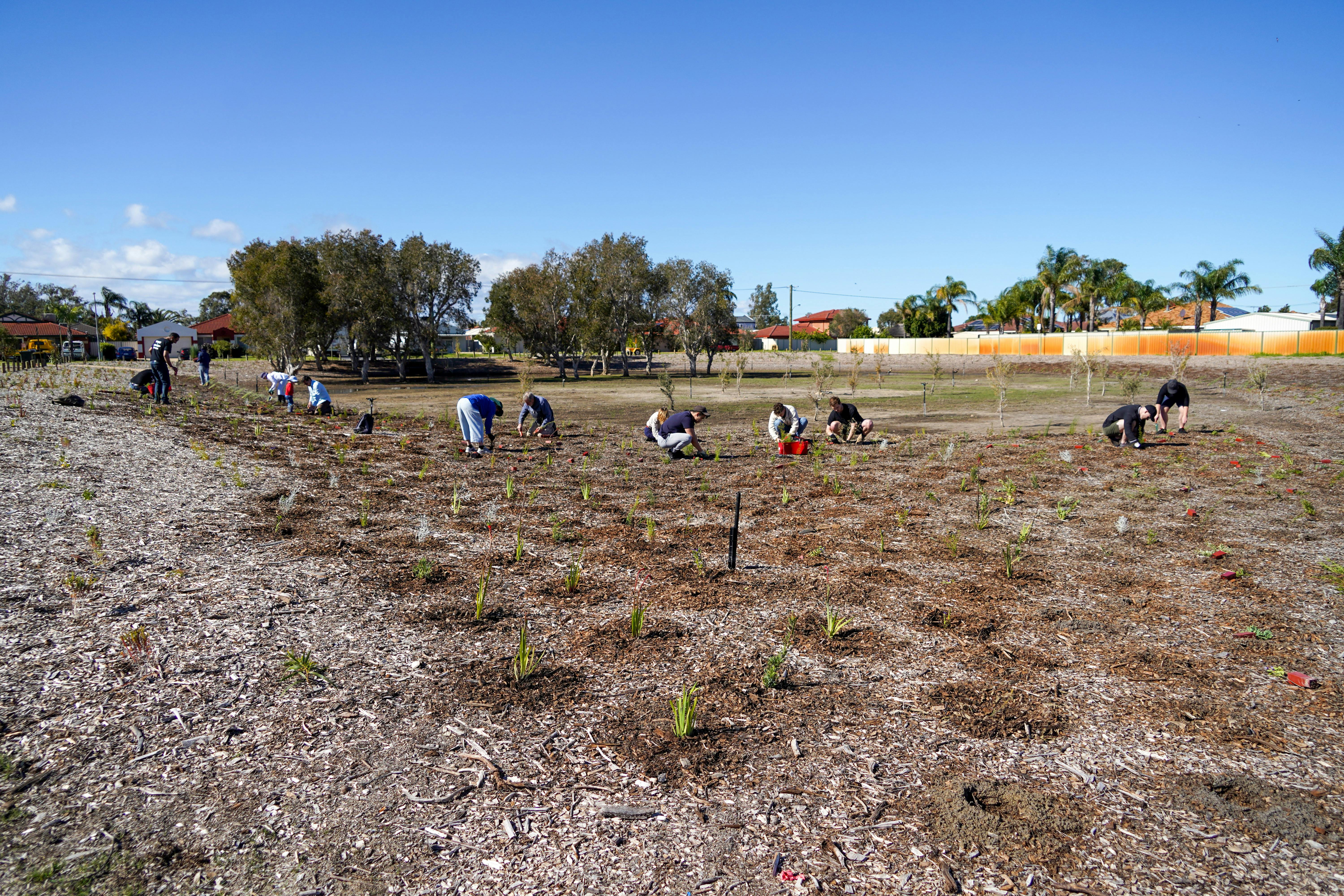 Groundlark Park Planting - Jesse Collins 19.jpg