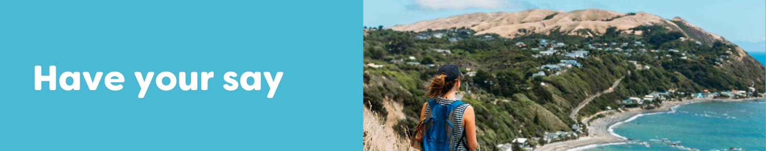 Person walking the Te Araroa trail overlooking Pukerua bay.