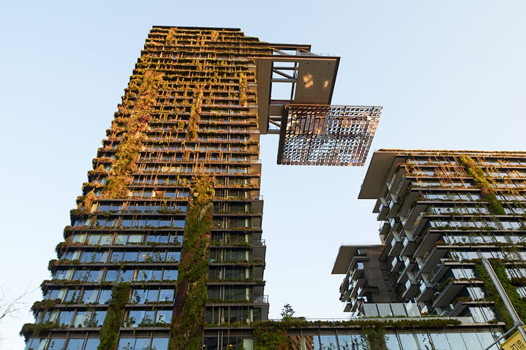 Taking a precinct wide approach to sustainability the Central Park project can conserve water, generate and distribute clean energy, manage wind and mitigate the urban heat-island effect.
The project exemplifies good urban renewal. The master plan established a framework that leveraged development opportunity to deliver significant public benefits through housing supply, supported by existing infrastructure and well-designed public spaces.
Better value: This project demonstrates how increased urban density can be accompanied by increased urban amenity.
Source: image and text Government Architect NSW