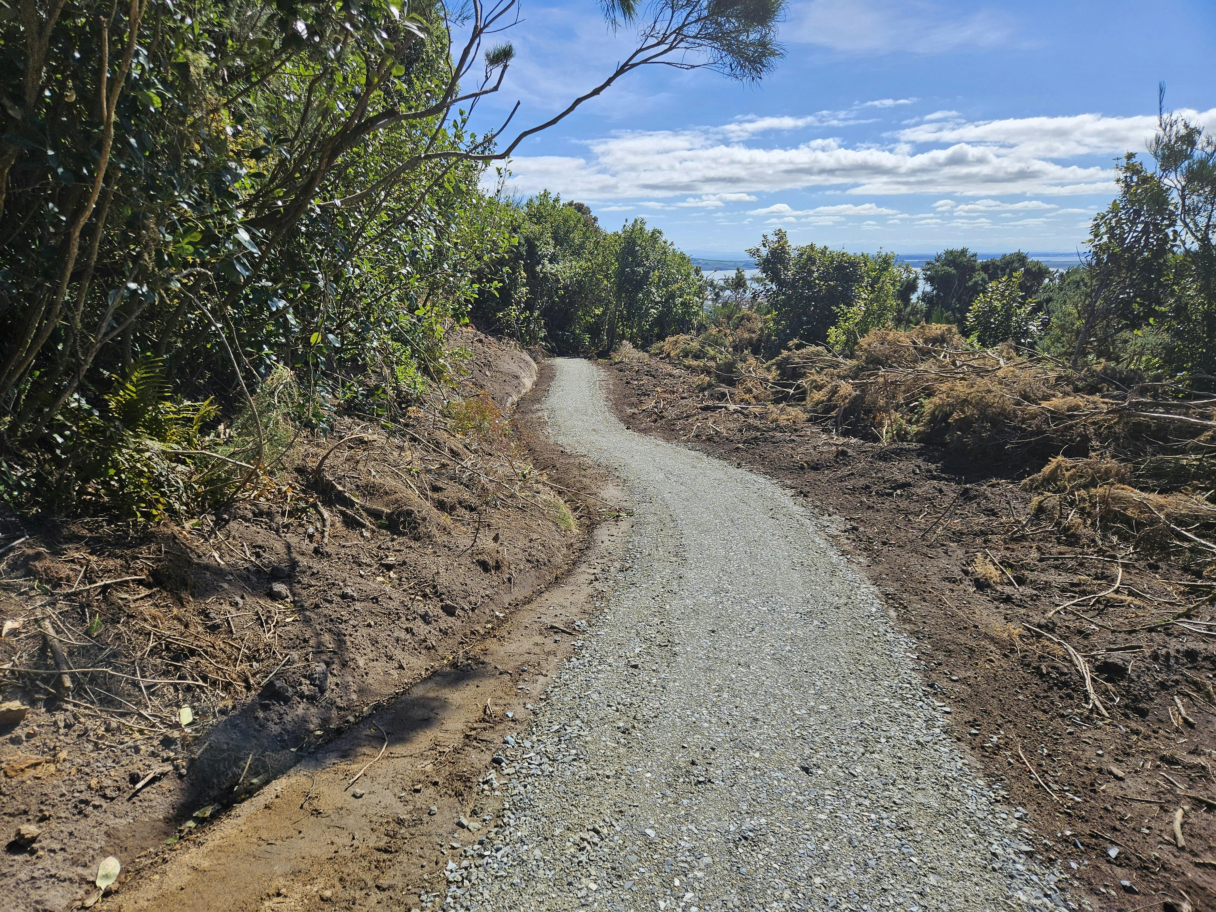 2024 03 19  walking trail development 