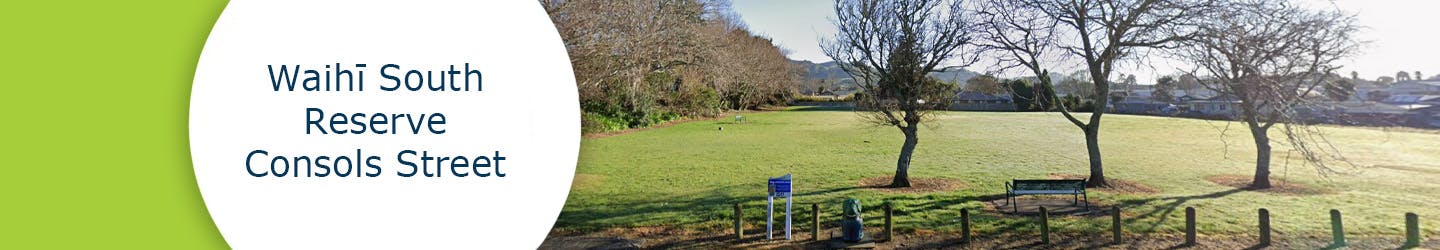 Waihī South Reserve, Consols Street