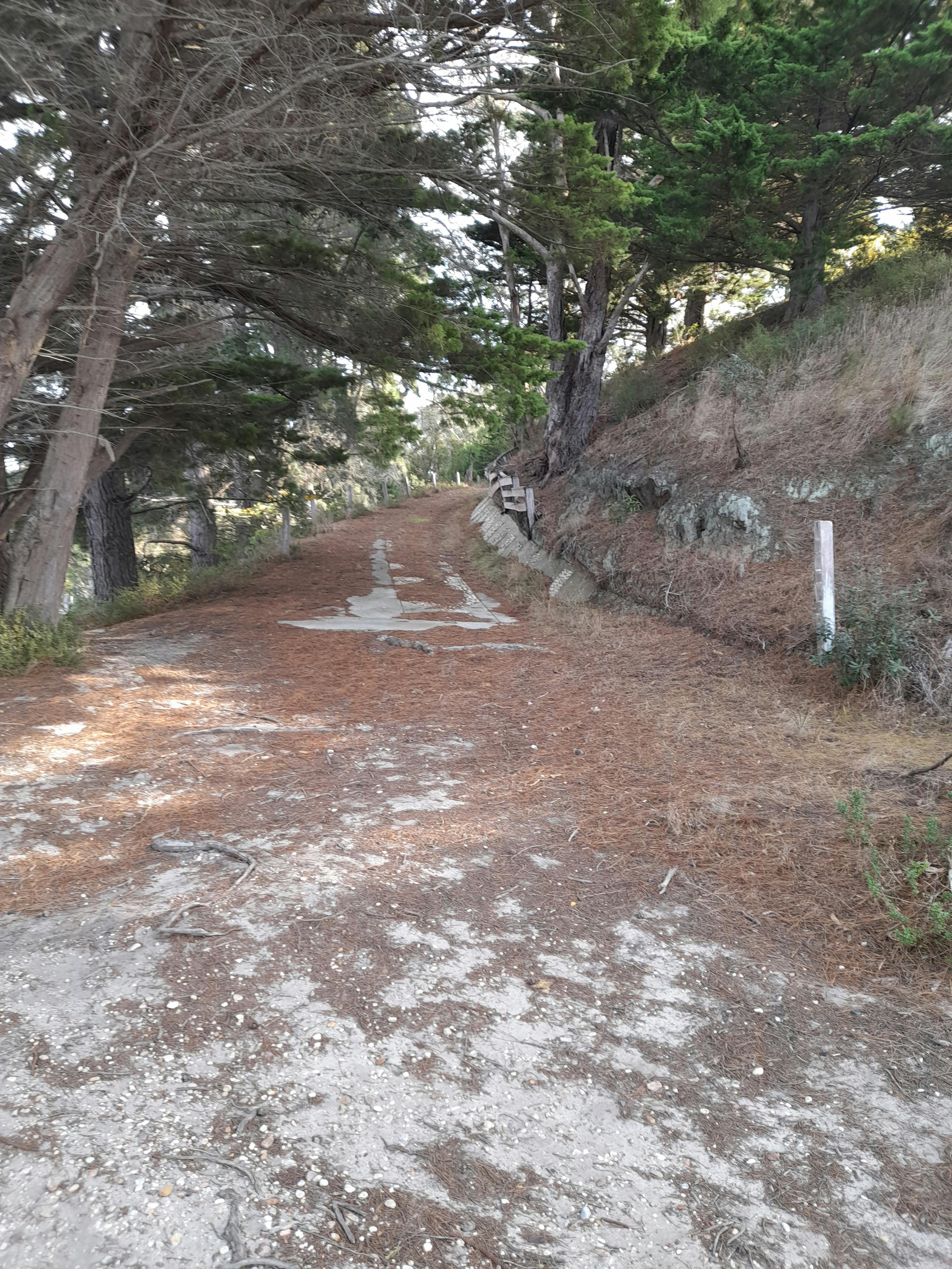 Dinni Birraark site walk on 4 August 2023