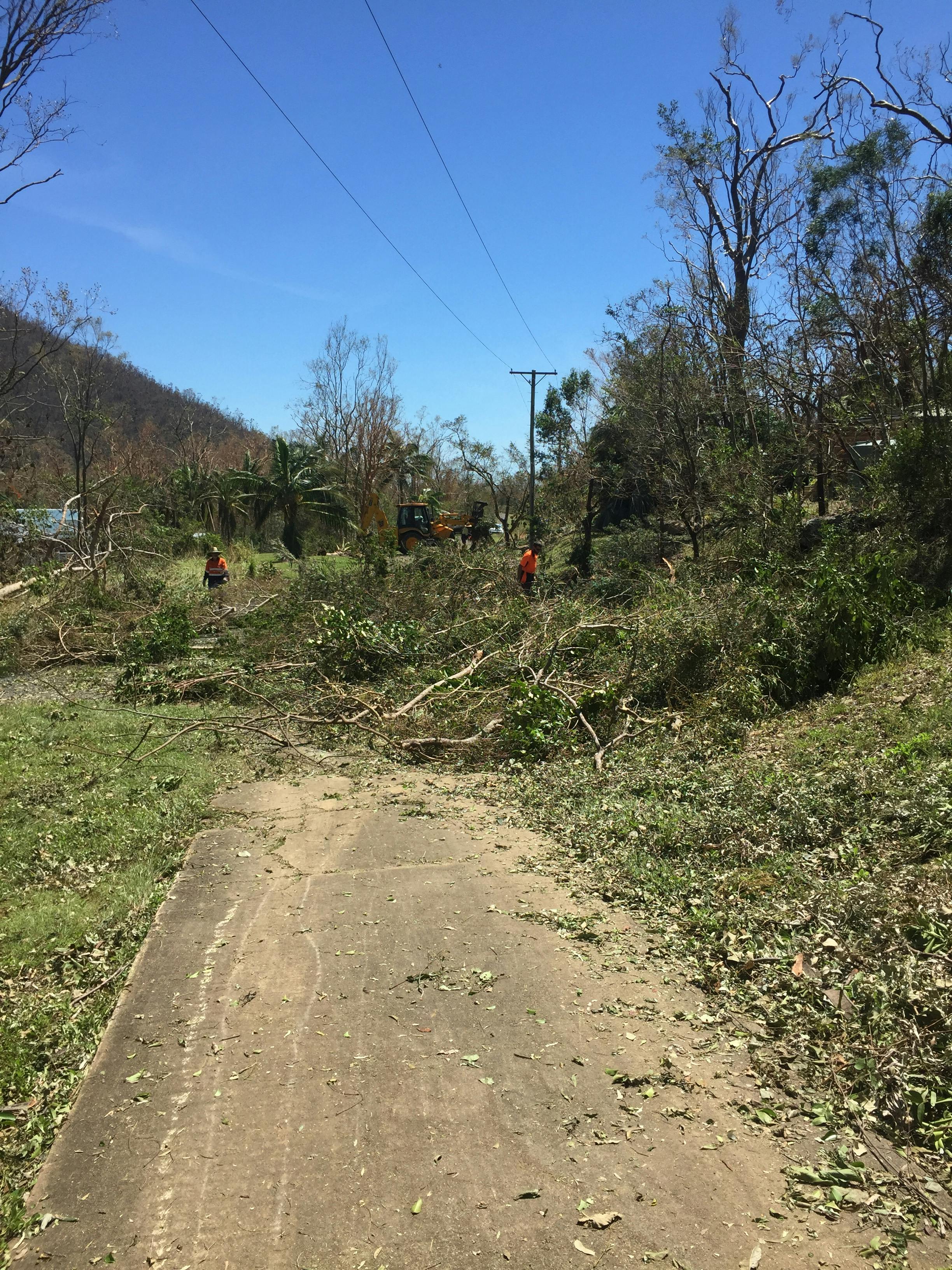 Tree clearing after Cyclone Debbie