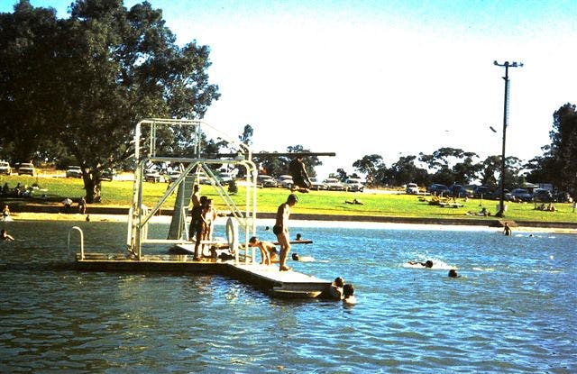 Fun in the sun at the Naracoorte Swimming Lake in the early days