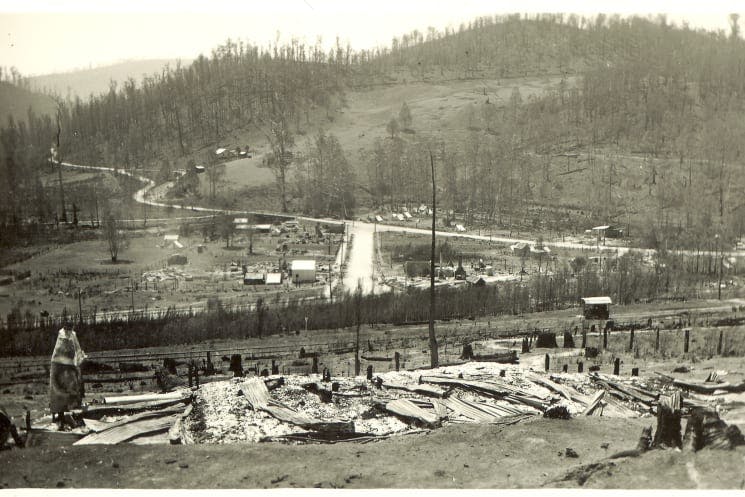 Noojee Post 1939 Bushfire - Noojee and District Historical Society.jpg