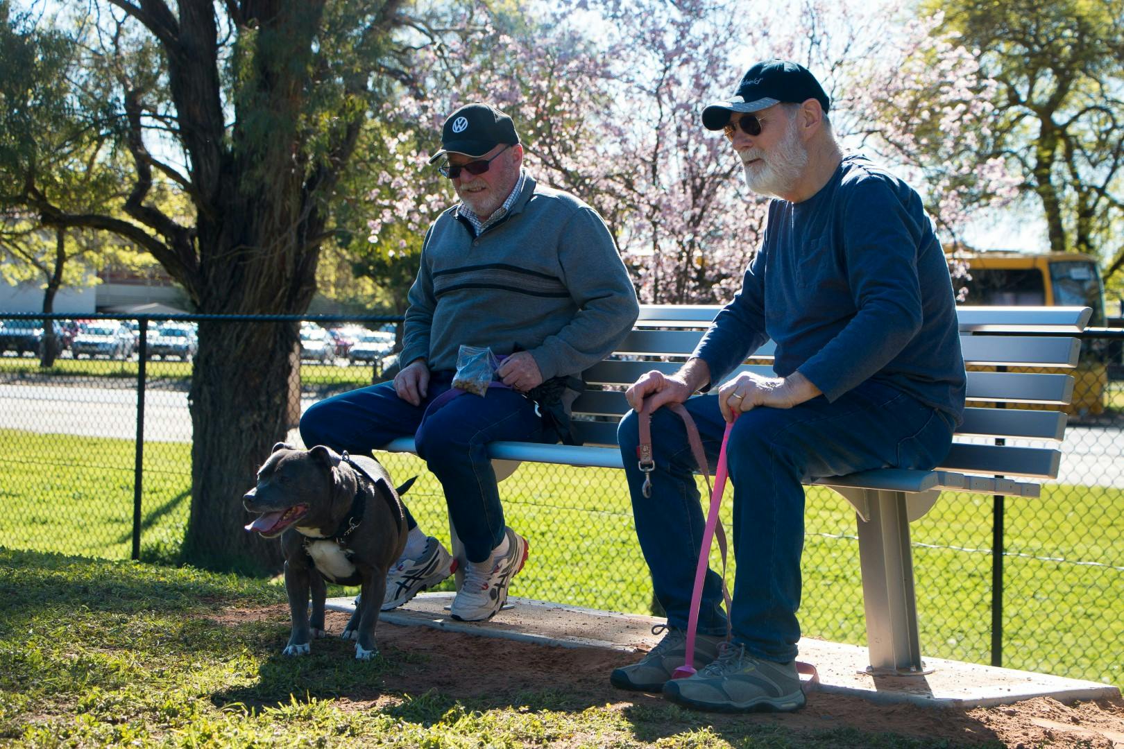 men on park bench with dogs