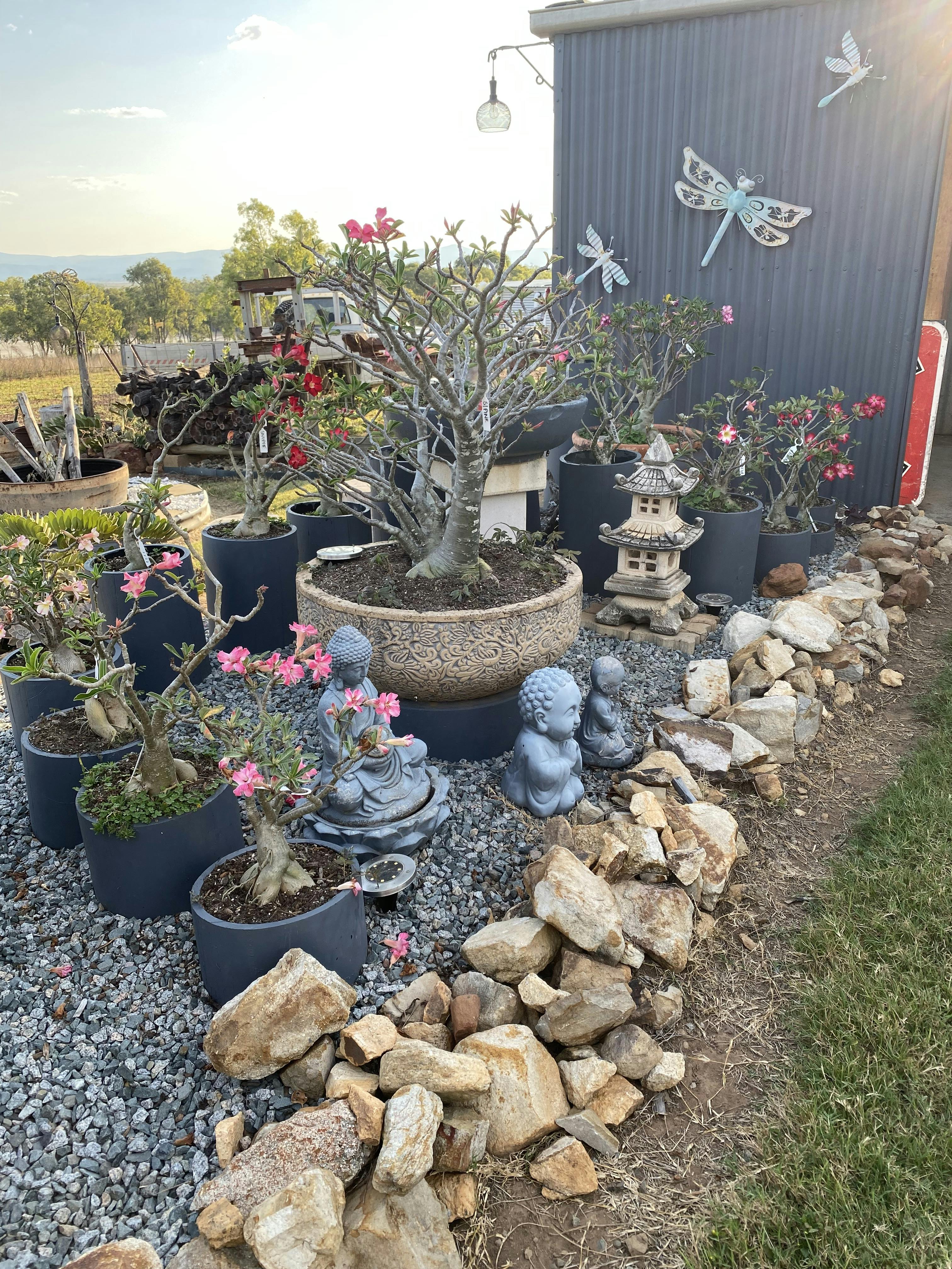 Potted Perfection.jpeg