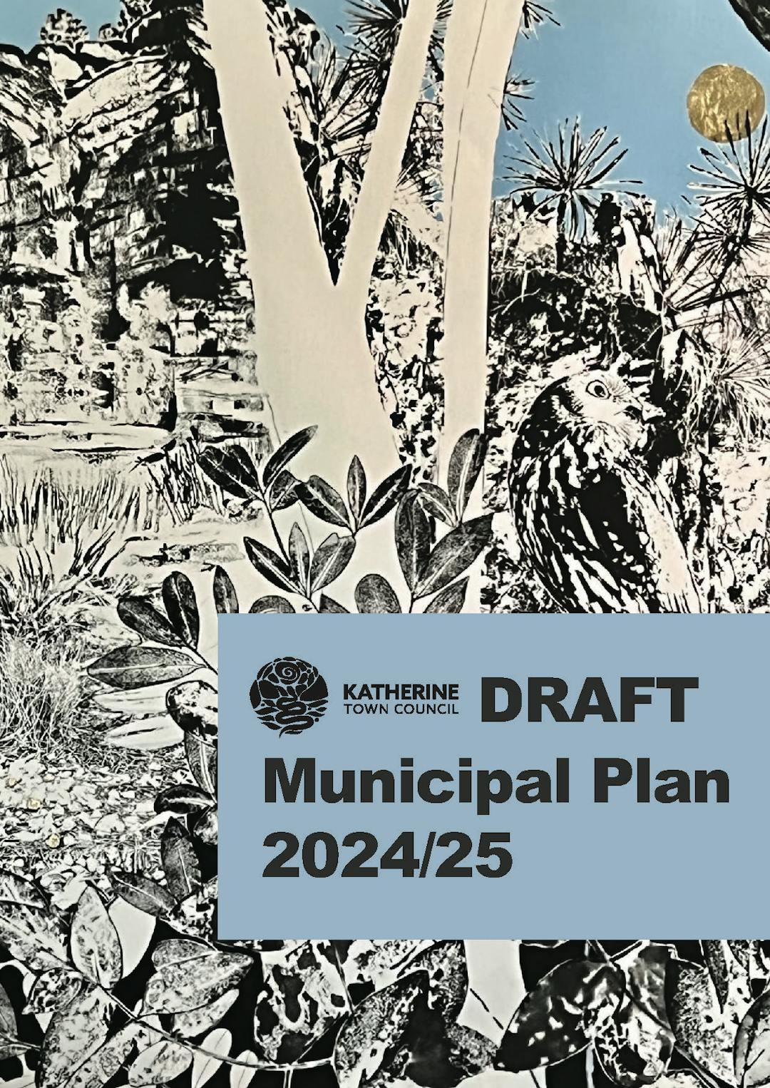 Katherine Municipal Plan 2024/25 | Your Say Katherine