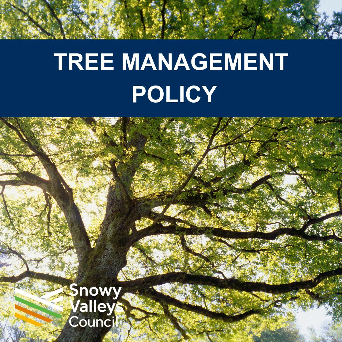 Tree Management POLICY