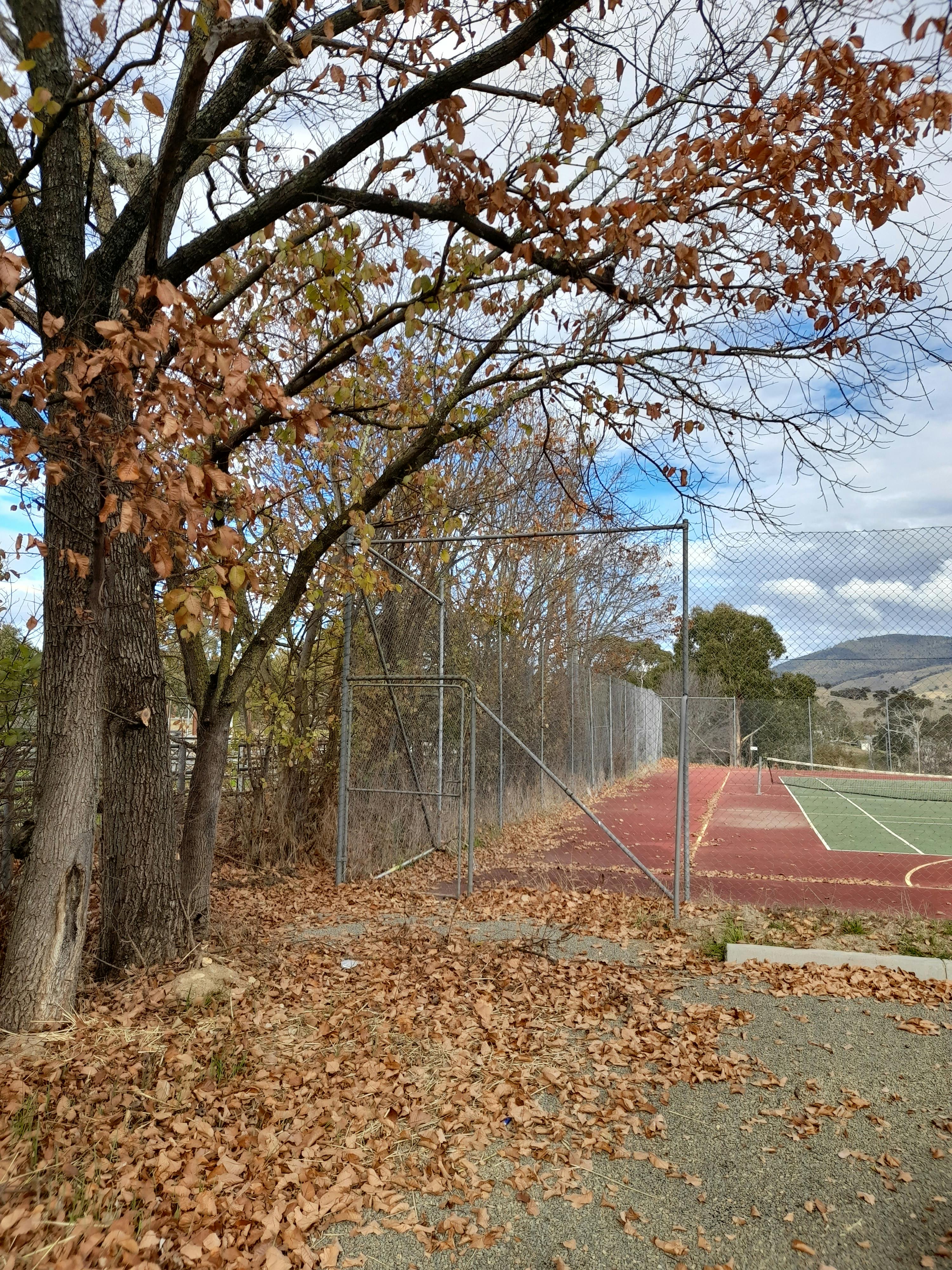 Omeo Rec Reserve 26/05/2022