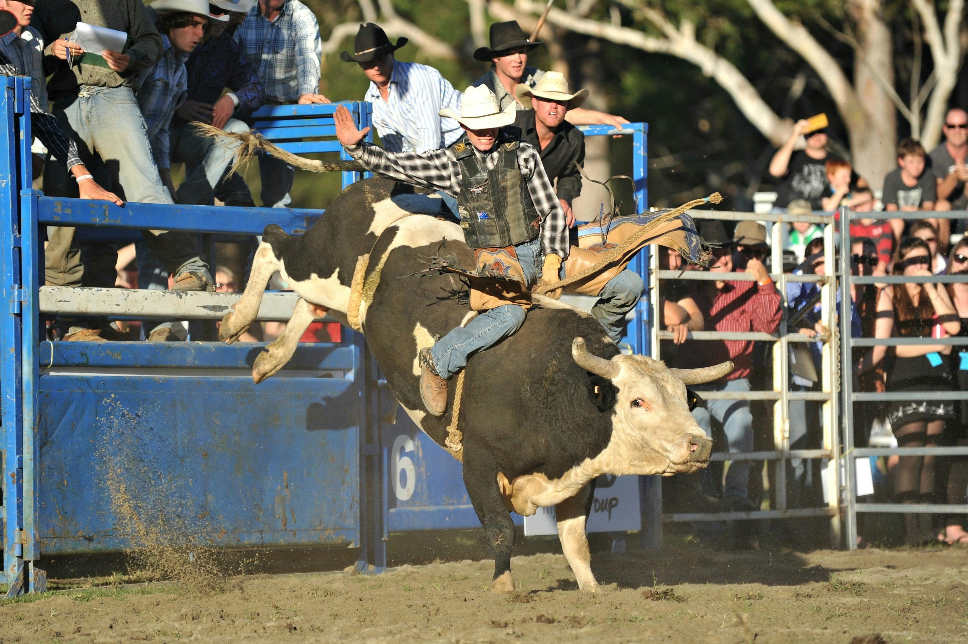 Meet n Greet - Coffs Coast Rodeo Riders