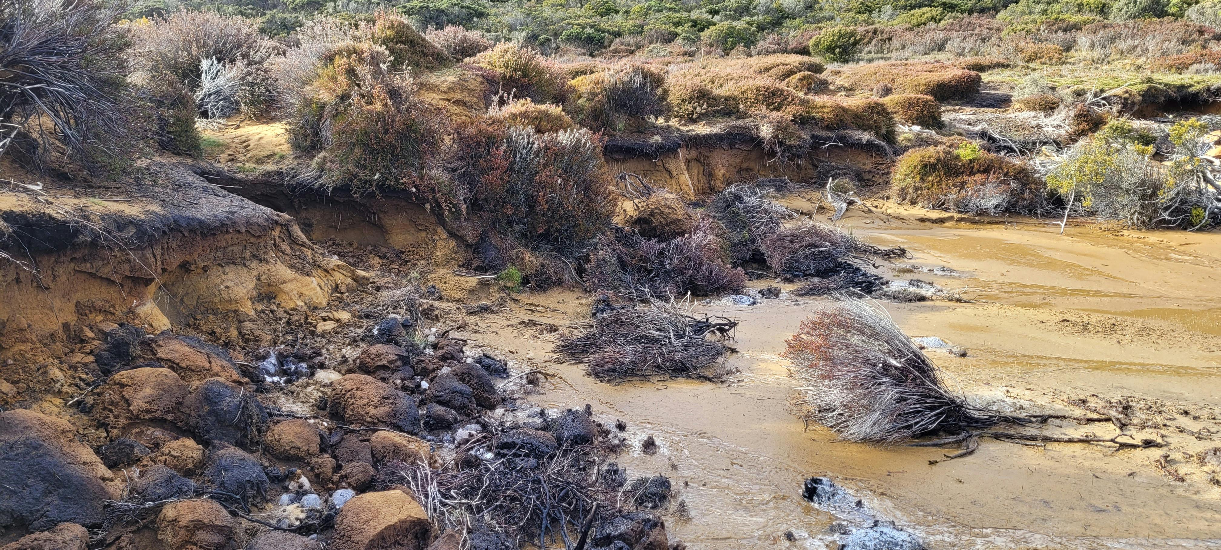 Lake Mackenzie rehabilitation site (2).jpg