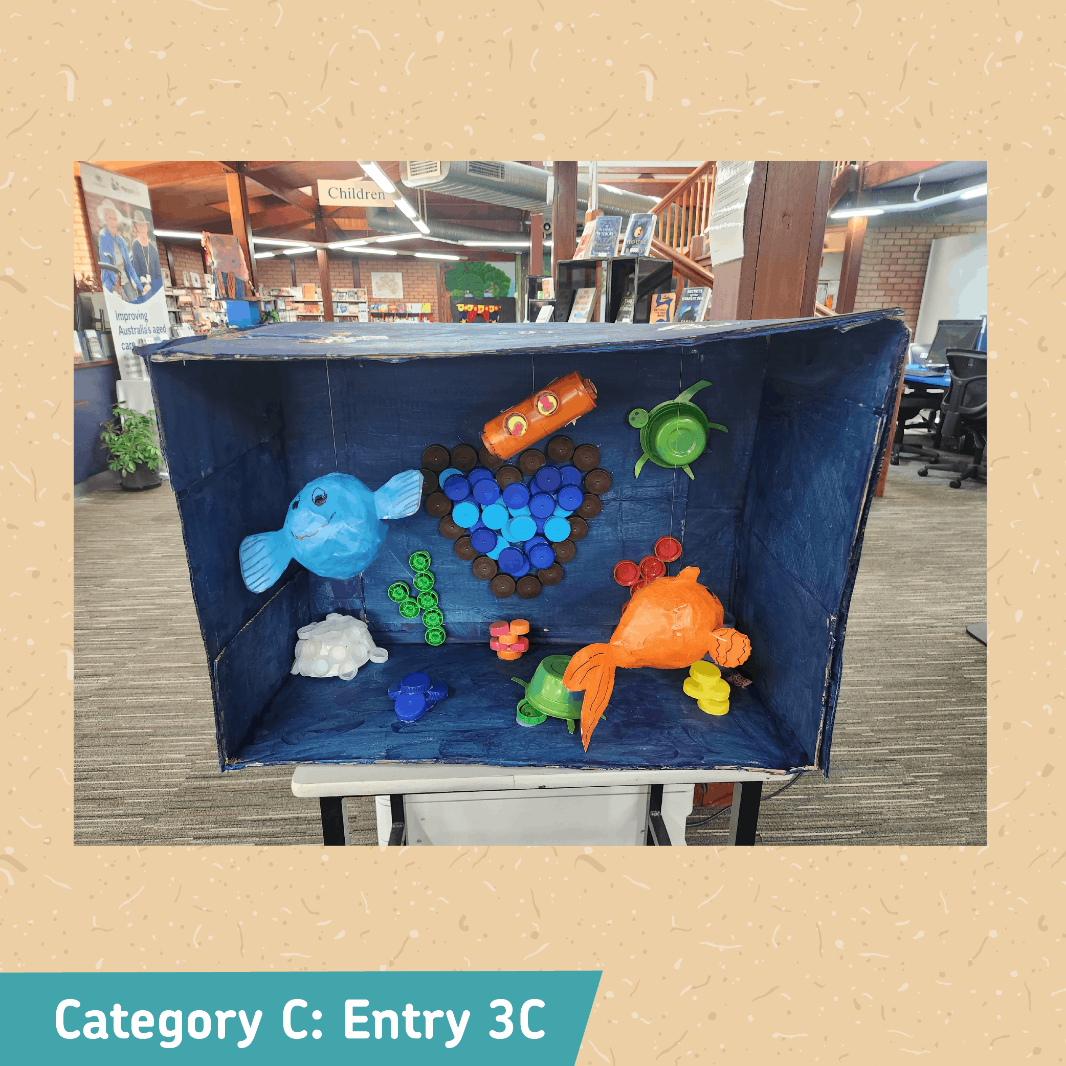 Category C: Entry 3C