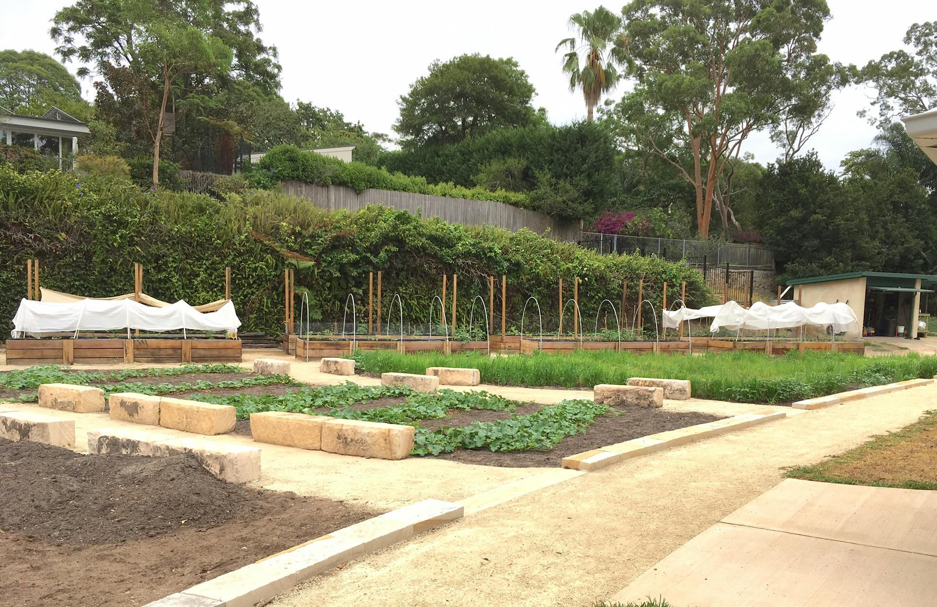 Artarmon Parklands - Community Garden