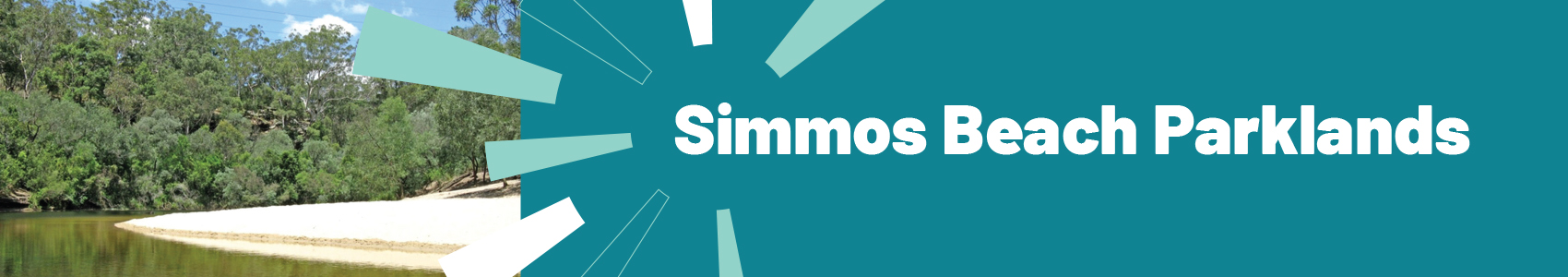 project banner