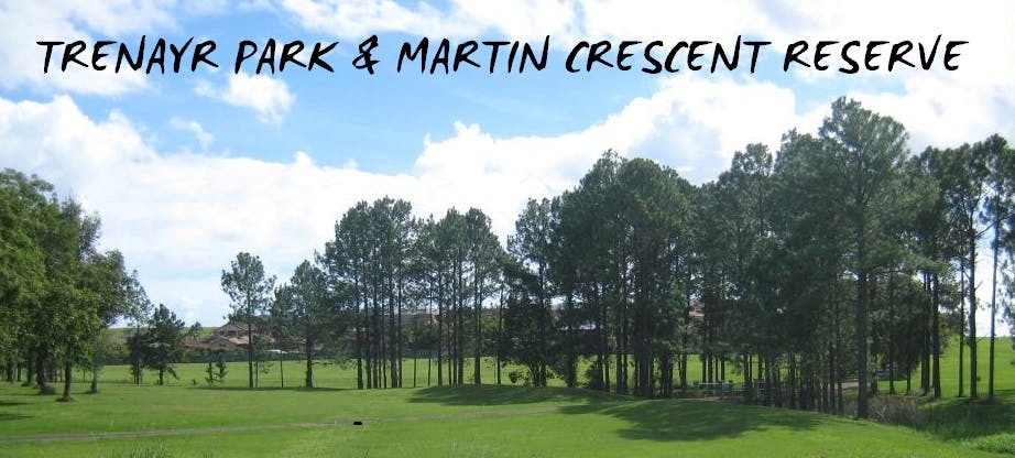 Trenayr Park & Martin Crescent Reserve - maintenance and land management proposal