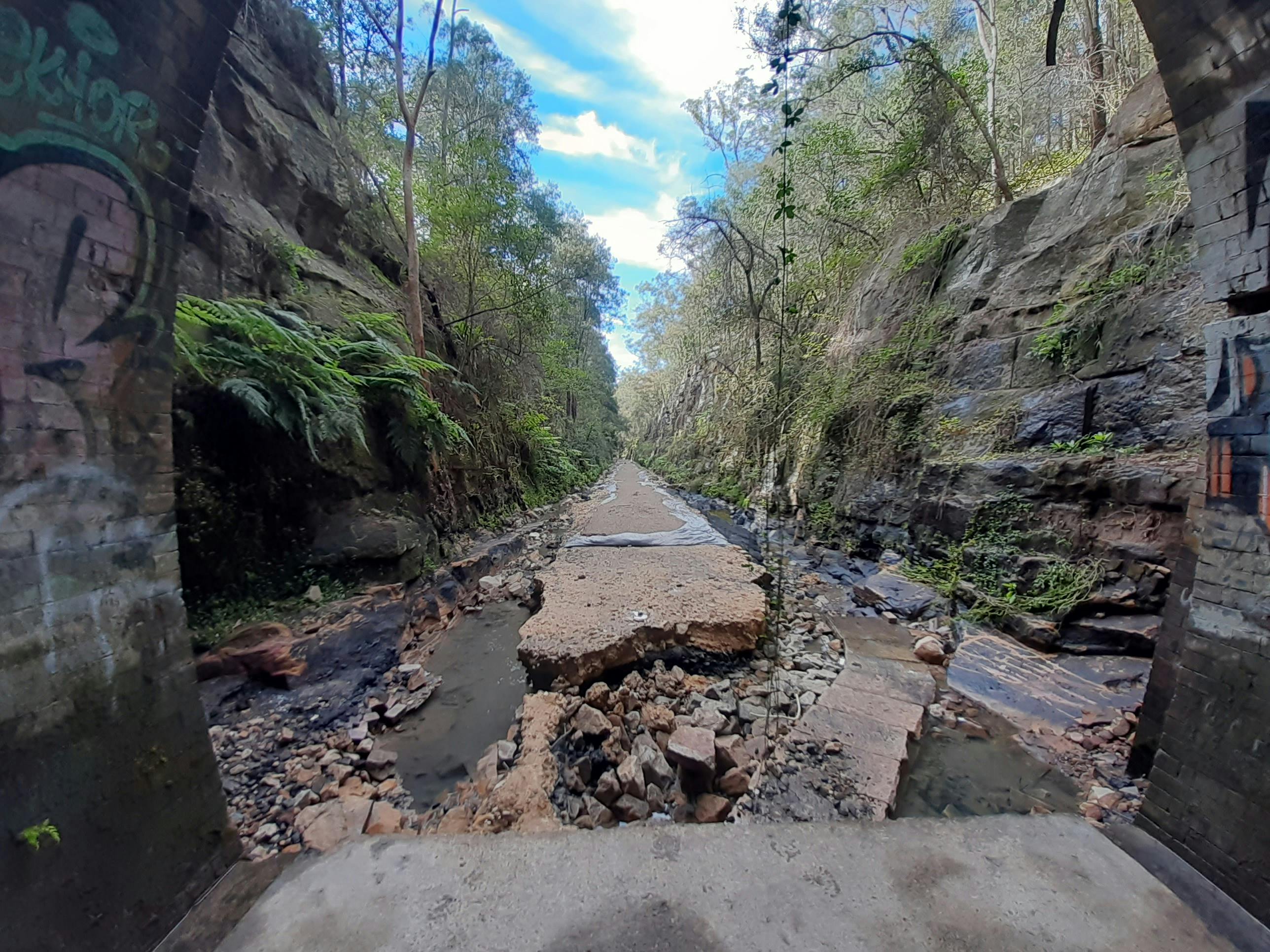 Eastern cutting track damage.jpg
