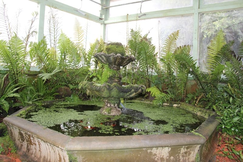 Conservatory fountain
