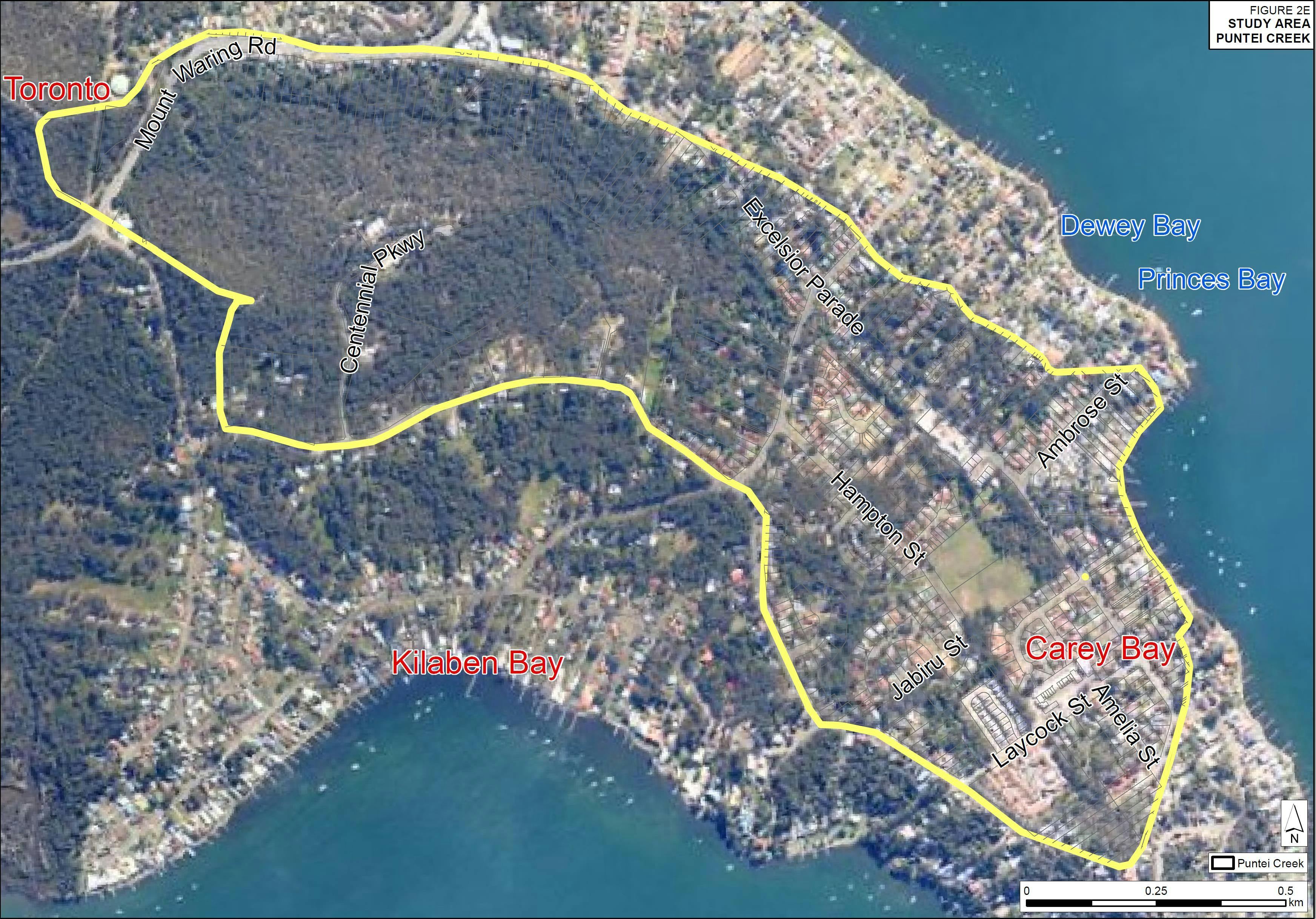 Puntei Creek at Carey Bay flood study catchment