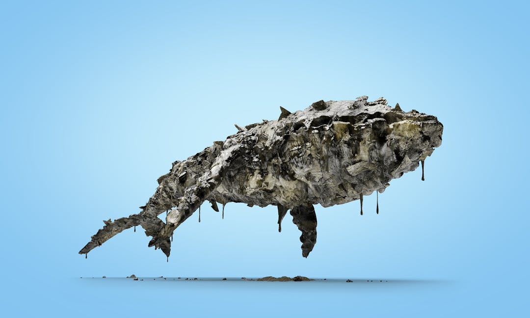 500 tonnes of wet wipes are removed from our sewers each year. That is the equivalent to 4 blue whales!