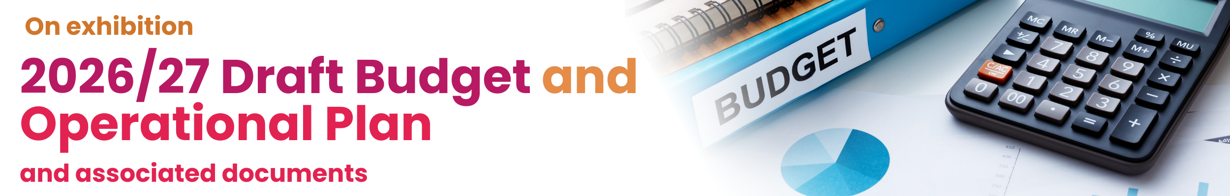 project banner