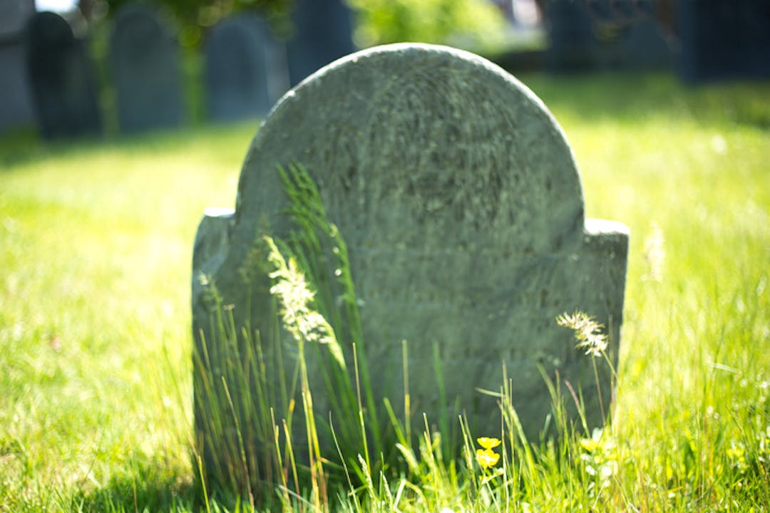 Gravestone amongst grass and flowers