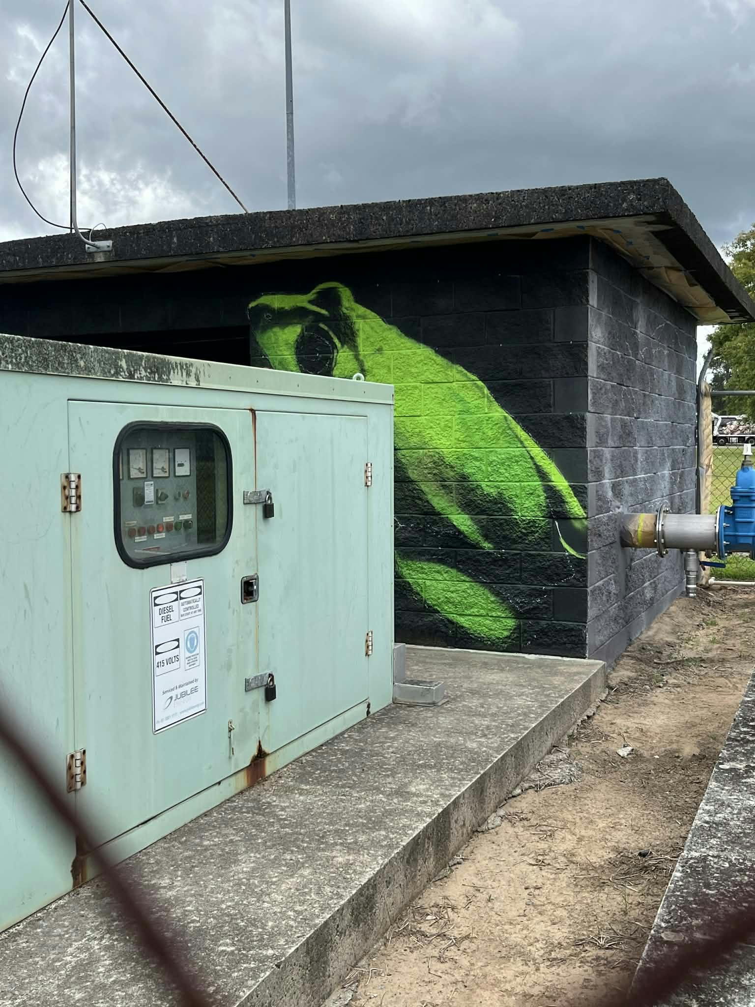 Progress photo - frog