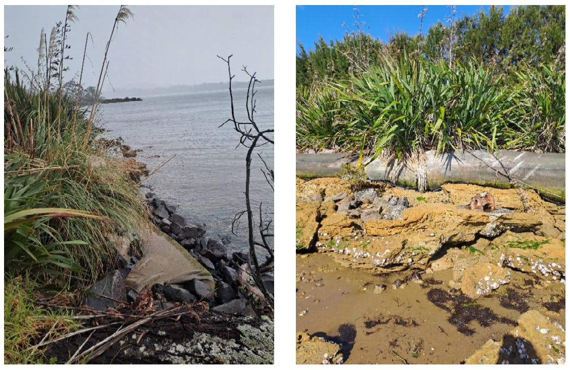 MacMillan seaswall (3).png