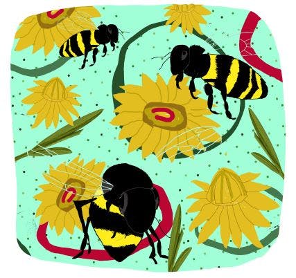 Bees with Strawflowers