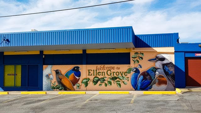 Photo of the 'Welcome to Ellen Grove' mural