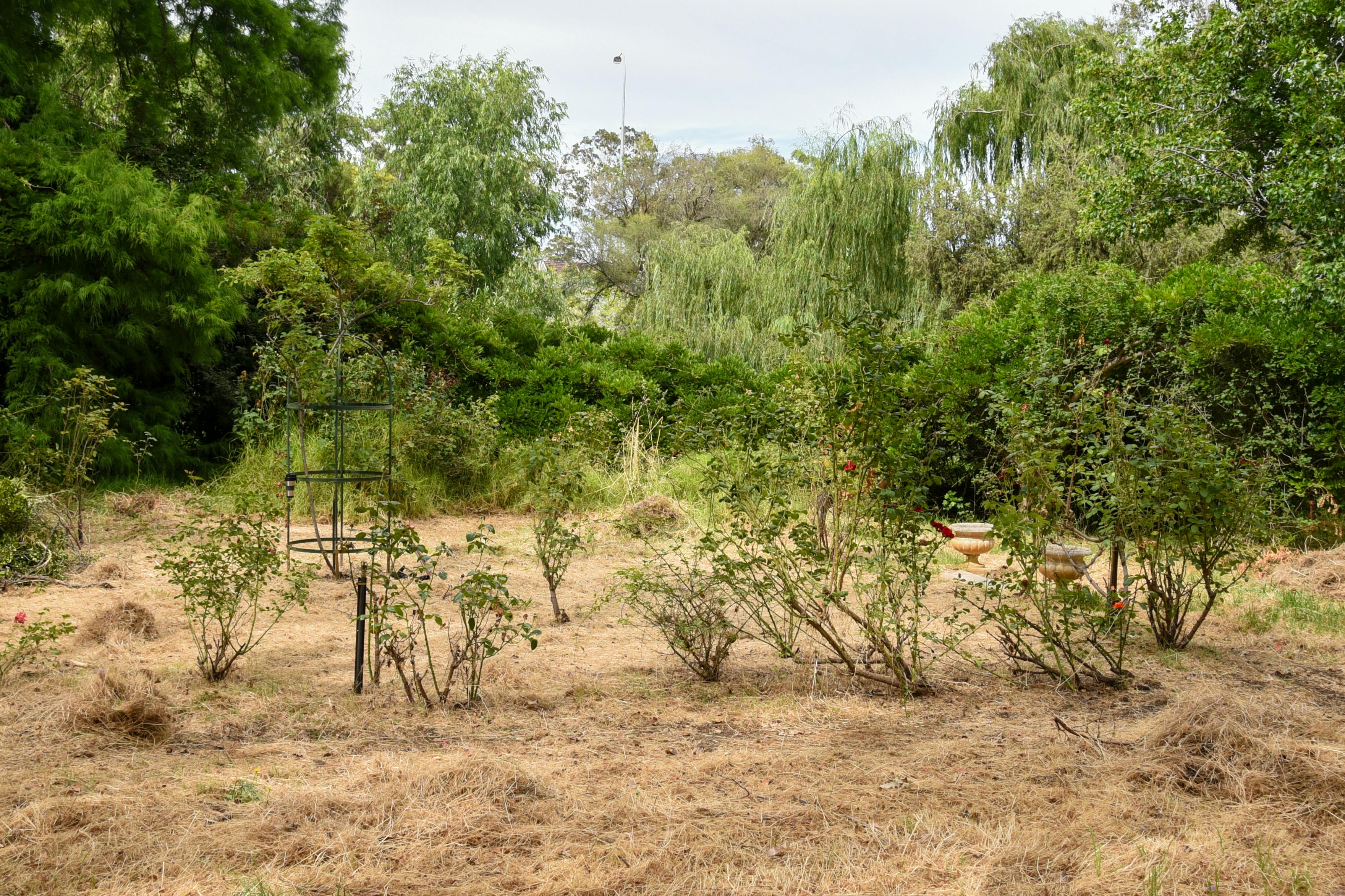 Wirra Willa Gardens_December 2023 (3).jpg