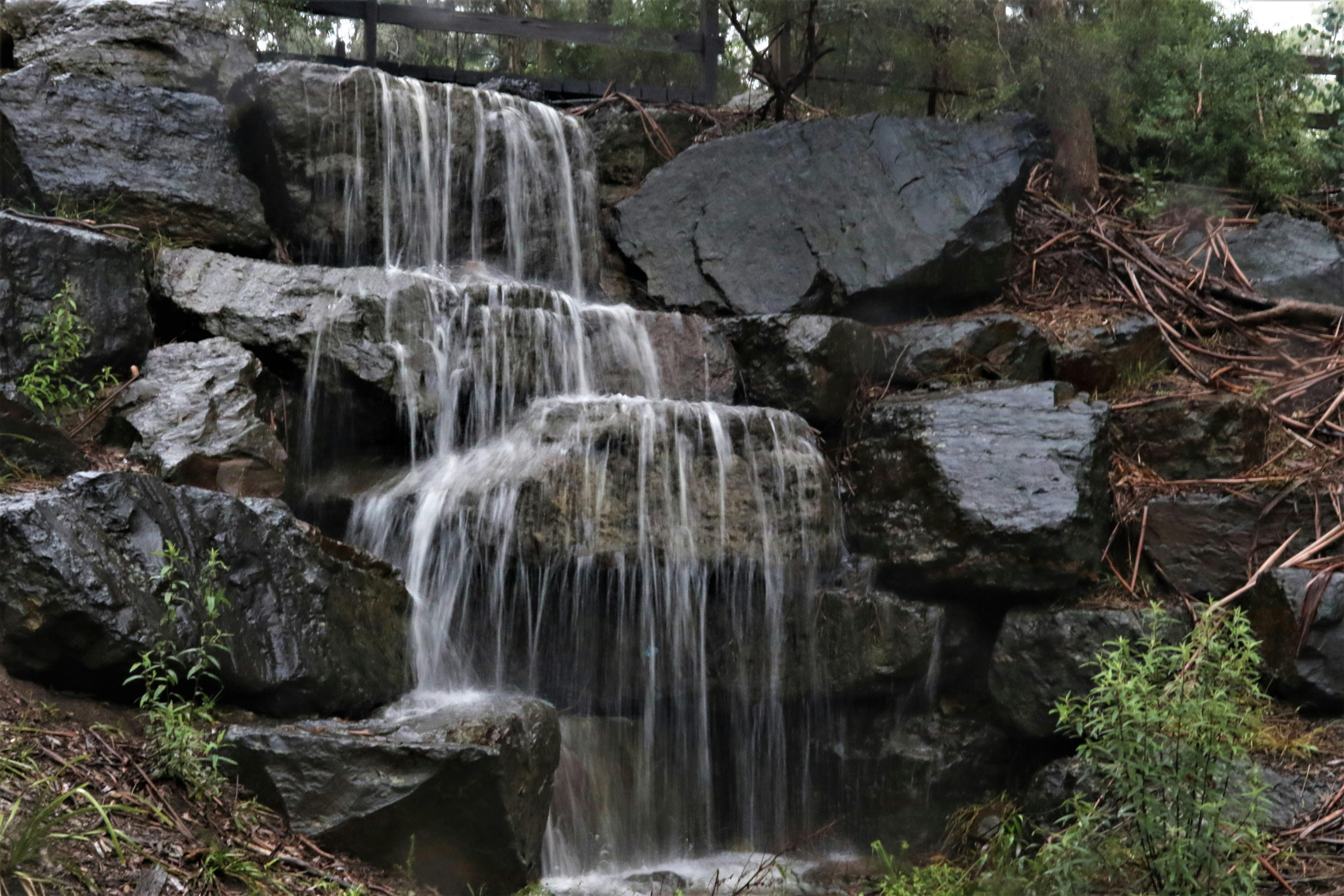 Waterfall in Yarran Dheran Reserve