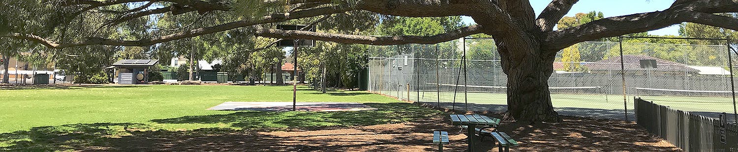 View in Page Park showing lawn, trees, shade and tennis court