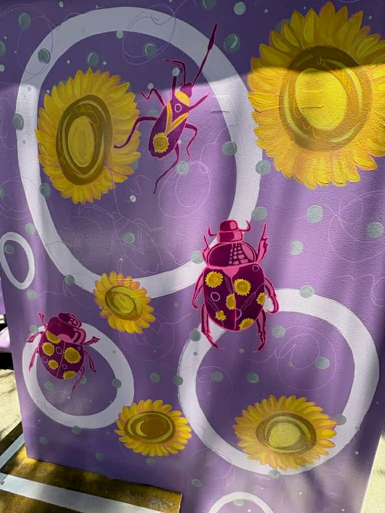 Queensland bugs close up - complete