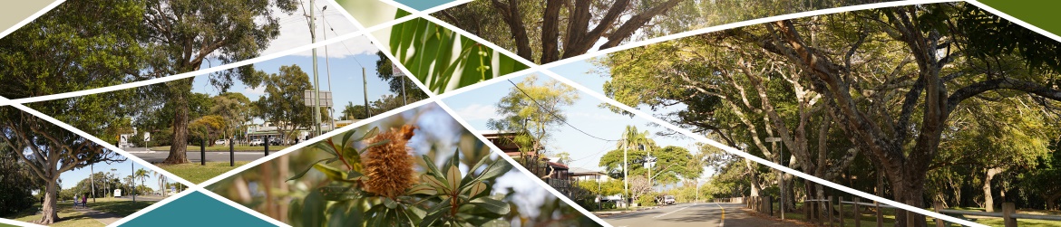 project banner