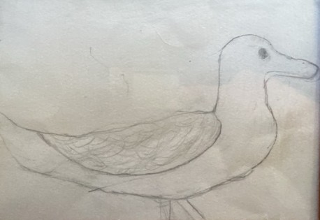 Archie Linney - Duck 